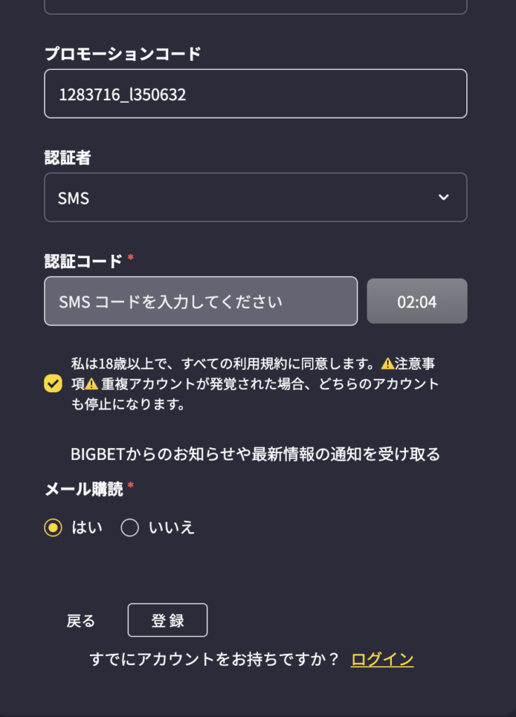 ビッグベットカジノ｜登録手順