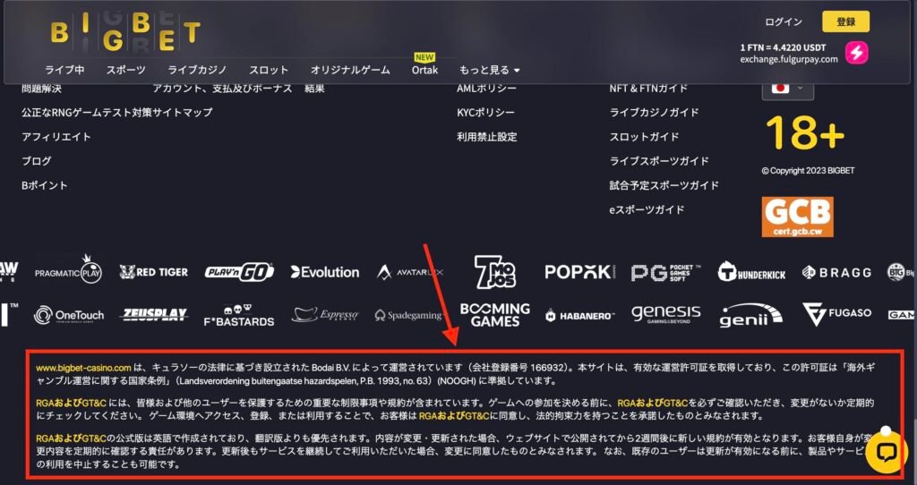 ビッグベットカジノ公式サイト