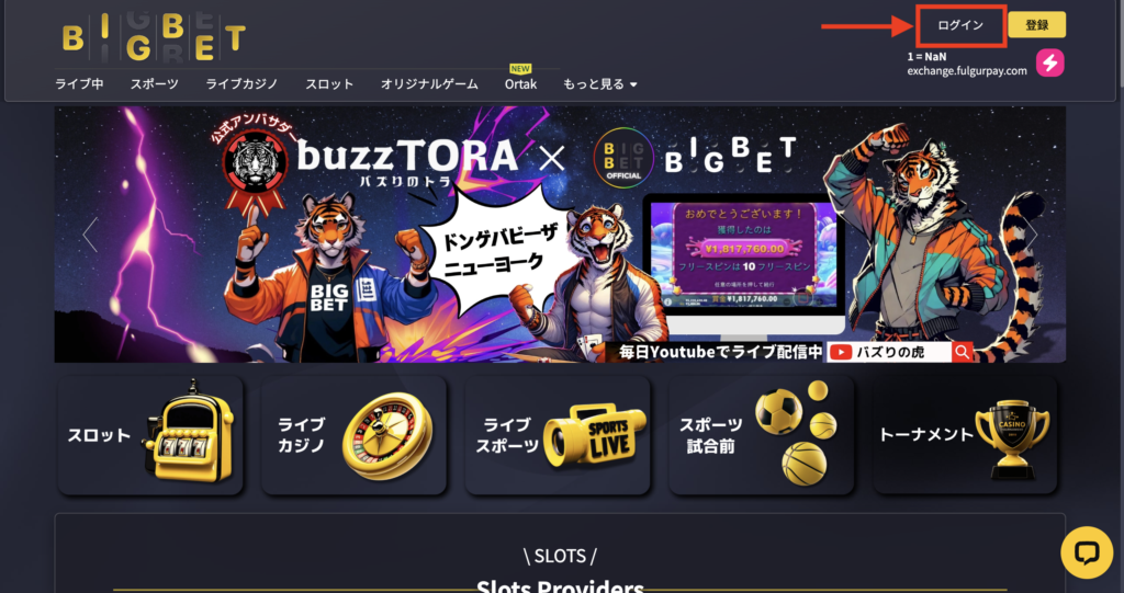 ビッグベットカジノ