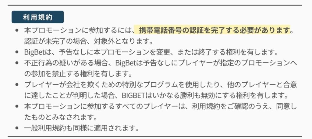 ビッグベットカジノ