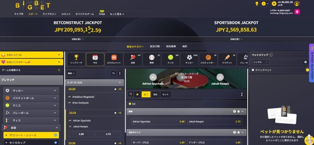 ビッグベットカジノ公式